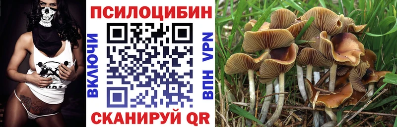 Галлюциногенные грибы Magic Shrooms  Орехово-Зуево 