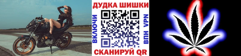 купить наркотики сайты  нарко площадка состав  Бошки марихуана Bruce Banner  Орехово-Зуево 
